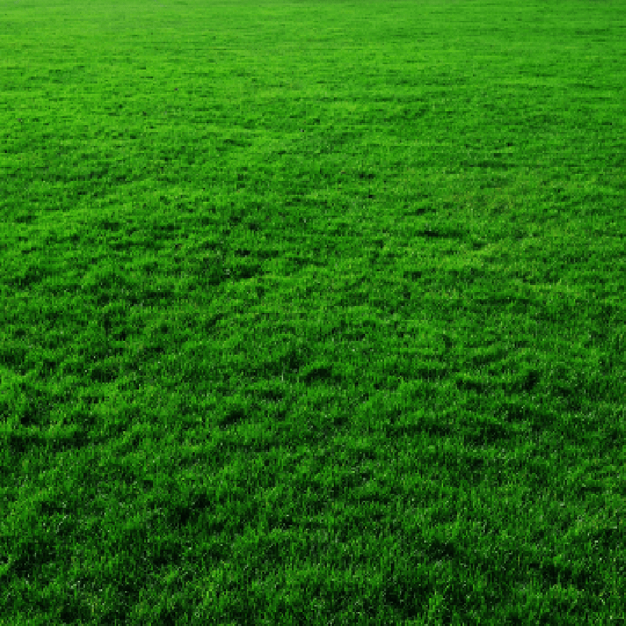 grass.png